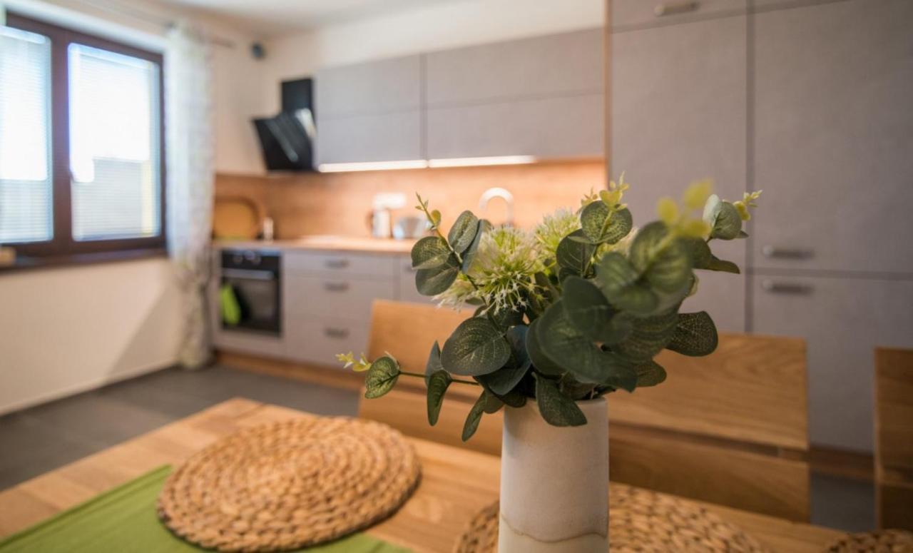 Ferienwohnung Astra Lipno Frymburk nad Vltavou Exterior foto